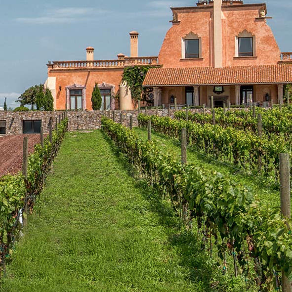 Disfrutar de una buena cata de vinos en el Circuito del Vino